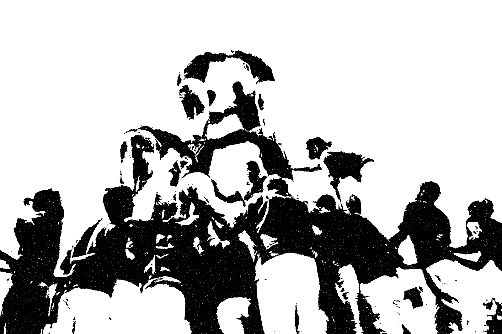 Personeel Complement